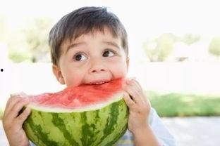 院长吃瓜,揭秘官场背后的趣味与真相